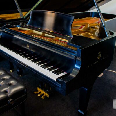 Steinway & Sons Model D - Bob's Red Mill founder Bob Moore's personal piano signed by Lang Lang